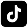 TikTok Icon